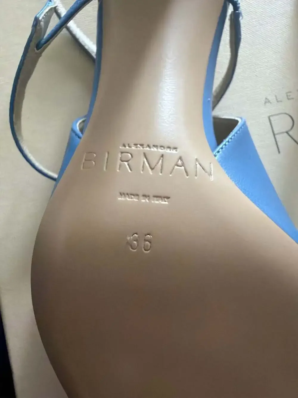 Alexandre Birman Tita 60 Slingback Heels Arctic Blue NWT Size 36